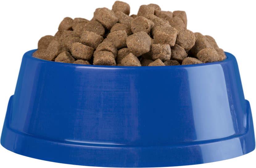 Dog Bowl with Dry Food  