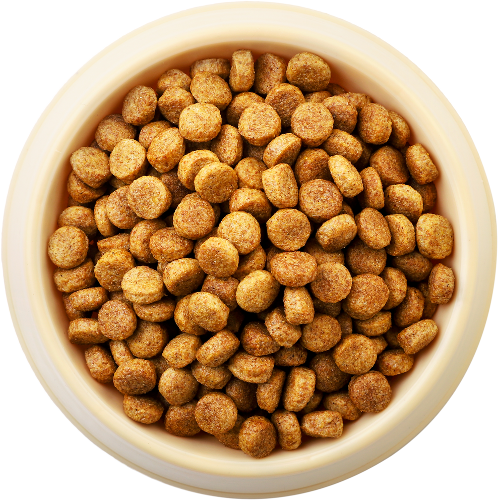 Dry Dog Food in a Bowl Cutout